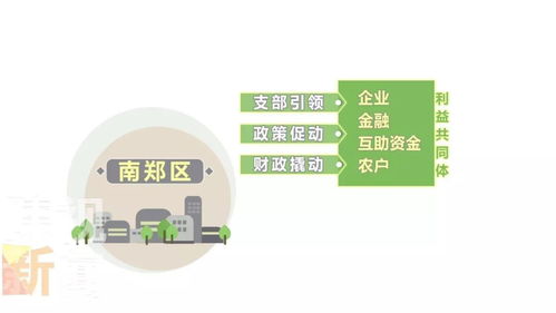 厲害了 漢中這個社區(qū)工廠生產(chǎn)的戶外服裝賣到了國外